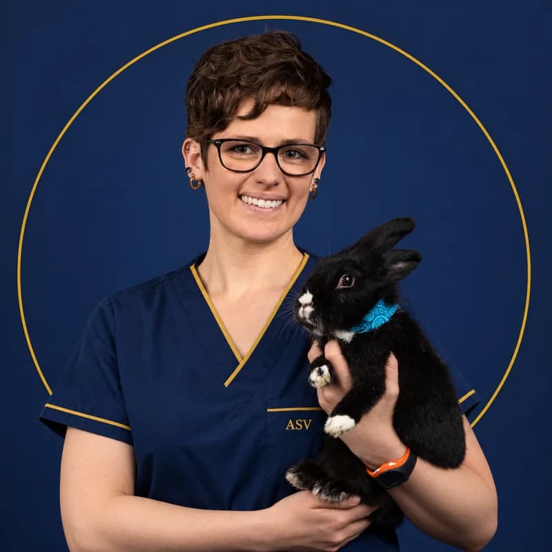 Manon, assistante vétérinaire de la clinique PhoenixVet